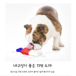 튼튼한강아지장난감 갈증해소 치석제거 분리불안 대형견 반려견장난감 : 찐토끼