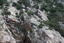 홍도 흑산도여행 2박3일 : 동양투어