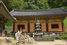 안동시티투어  봉정사 만휴정 낙강물길공원 월영교 : 안동먹탐시티투어