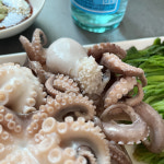 국내산 서해안 봄 활쭈꾸미 급냉 알배기 알 쭈꾸미 주꾸미 1kg : 영앤피쉬