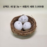 새 알 미니어처 세트 인테리어소품 새둥지피규어 : NK 플랜트