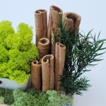 스칸디아모스 화분 DIY 키트 천연이끼 공기정화식물 편백나무 습기제거 옥수수소녀 65 : 숲속나무향기