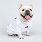 골든독 강아지 사과후드티셔츠 후드티 소형견 중형견 프렌치불독 비숑 웰시코기 착용가능 옷 : 골든독