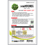 그린볼버터헤드 1000립 / 상추 씨앗 종자 쌈채소 텃밭키우기 채소키우기 : 초록스타