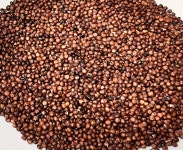메수수 1kg 동안메 수수차 수수떡 건강차 수수원물 수수도정 메수수쌀 찰수수쌀 : 영월유팜