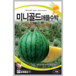미니골드애플수박 10립 / 수박씨 수박씨앗 과일씨앗 : 초록스타