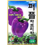 퍼플 파프리카 10립 : 중앙종묘농약사