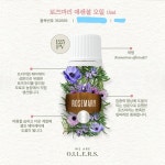 로즈마리 : 향기톡톡몰
