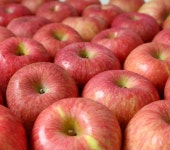 [성환 배꽃마을 꽃보다 ] 사과생즙 / 110ml / 30포 / 스파우트 파우치 / 선물세트 : 성환배꽃마을