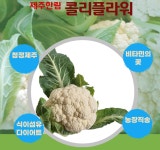 제주 한림에서온 콜리플라워 컬리플라워  3kg 제주산지직송 슈퍼푸드 : 비케이나인