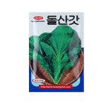 미미네가든 돌산갓 씨앗 (10g) -텃밭 채소 키우기 : 미미네아쿠아