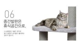 4단 캣타워 고양이 해먹 숨숨집 놀이터 안정감 활용도 높은 부드러운 패브릭원단 고양이집 : 정남이네 다락방