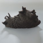 군서원양수산 | 조림 자숙 생물군소/부산 가덕도 자연산 당일채취 500g : 가덕도농수산
