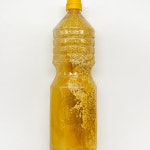 [부천시 배달] 은은한 달콤함 호박 식혜 1.8L [부천원미종합 원미식품] : 동네시장 장보기