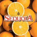 세콰이어 오렌지 30입 6kg 로얄과 대과 : 맛젤