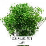 감사 미니 토퍼 꽃다발 : 쭈니풍선앤파티-쭈니잡화상점