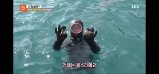 뿔소라 자연산 소라 숙회 구이 7-9미 1kg : 해녀언니