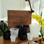 관엽식물 삽목 삽수 분갈이 원형 슬릿분 슬릿화분 투명 플라스틱 화분BEST : albo garden