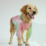 중형견 대형견 선 스크린 그라데이션 후디 얇은 자켓 : 펫코팩토리