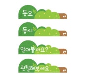 어린이집 동요판 유치원 동시판 관찰해보아요 알아볼까요 페이퍼홀더 마그넷 4종 A4 A3 : 다팔익선