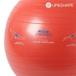 업앤쉐이프  짐볼 65cm/운동자세그림/발펌프 포함/ 레드 /블루 Gym Ball 65cm : 일마니피코