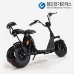 EBX7 전동스쿠터 왕발통 60V13ah 20ah 선택가능 정격출력500W : 와이제이모터스