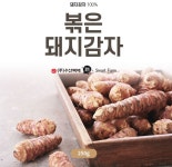 수산복해  볶음 볶은 돼지감자 말린것 되지감자 뚱단지 : 산책길 스토어