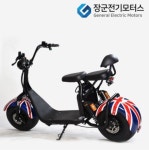 EBX7 전동스쿠터 왕발통 60V13ah 20ah 선택가능 정격출력500W : 와이제이모터스