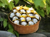 국산팥을 사용한 수제 의령 부자 망개떡20개 : 의령망개떡