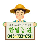 개나리 나무 묘목1m20 울타리 특묘 : 한밭농원
