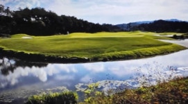 강원 - 알프스대영cc  1박2일골프패키지 : 세이브투어- 황수진차장