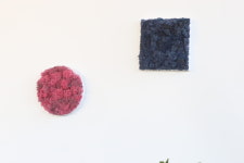 내 마음이 말할 때 모스 힐링 액자 (만들기 DIY 혹은 완성형) : 어반가드너