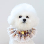 강아지 케이프 레이스 스카프 턱받이 : 럽독 LUVDOG