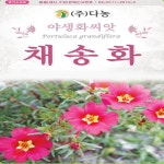 채송화 채송화꽃 씨 씨앗 종자 1g : 모두다팜 농자재