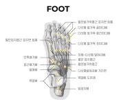 디스크랩 무지외반증교정기 발바닥통증 발가락교정기 발가락링 실내 외출 TB01 TB02 : 새하얀여우네