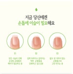 모스티브 손톱에이슬 12ml 네일영양제 손톱강화제 : 와일리뷰티
