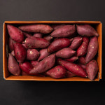 영암 황토 햇 꿀 고구마 호박고구마 밤고구마 베니하루카 3kg 5kg 10kg : 과일꾼