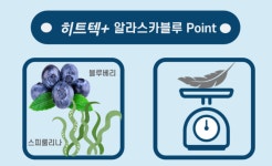 경원 히트텍 플러스 알라스카블루 2+1 : 까벤져스