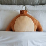 소두 곰인형 대형 어깨 깡패 봉제 곰돌이 인형 : 샵큐2
