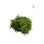 로즈마리 (100g) : 야채로와