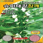 [25년] 슈퍼태강참깨 외대참깨 외대형참깨 씨 씨앗 종자 3000립 : 모두다팜 농자재