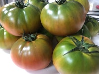 대저 짭짤이 토마토 2.5kg 농협으뜸 대저토마토 : 이맛 토마토농장