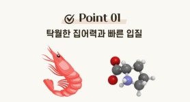 경원 히트텍 플러스 오리지널 2+1 : 까벤져스