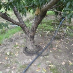 농업용호스 수도호수 물호스 10m20m 담그는 마이크로 방울 관개 49mm 누출 튜브 : 글로벌 디케이