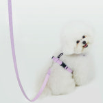 나트리스 강아지 하네스 S 가슴줄 소형견 H형 : 나트리스