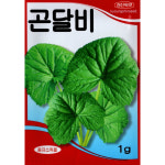 (씨앗) 곤달비 - 쌈채소 장아찌로 활용 - 곤달비 씨앗 종자 - 1g : 진양원예사