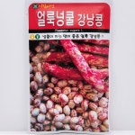 호랑이 넝쿨콩 30g : 씨앗공장