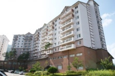 강원도 태백 오투cc 1박2일골프 여름에 시원한 골프장/ 오투리조트 : 자이언트 골프