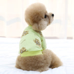 이츠독 프리티 테디 순면 강아지 티셔츠 애견 긴팔티 맨투맨 소형견 봄 가을 옷 : PICKYSHOP 피키샵
