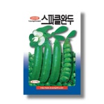 스파클완두콩 씨앗 종자 50g : 삼대씨앗